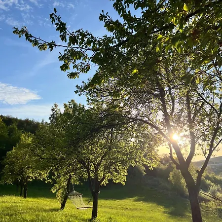 Apartament Oaza Mira 2 *